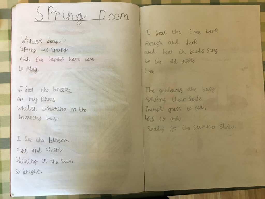 Harry Poem - Cuddington and Dinton School