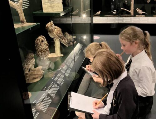 Investigating the Stone Age at Aylesbury Museum