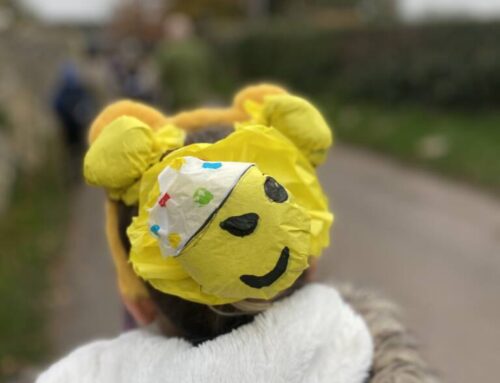 Crazy Hair day for Children in Need