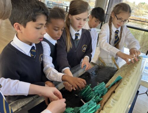 Year 3 and 4 visit to Henley River and Rowing Museum